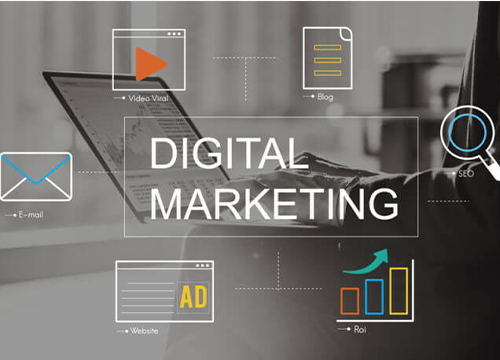 Digital Marketing Professional